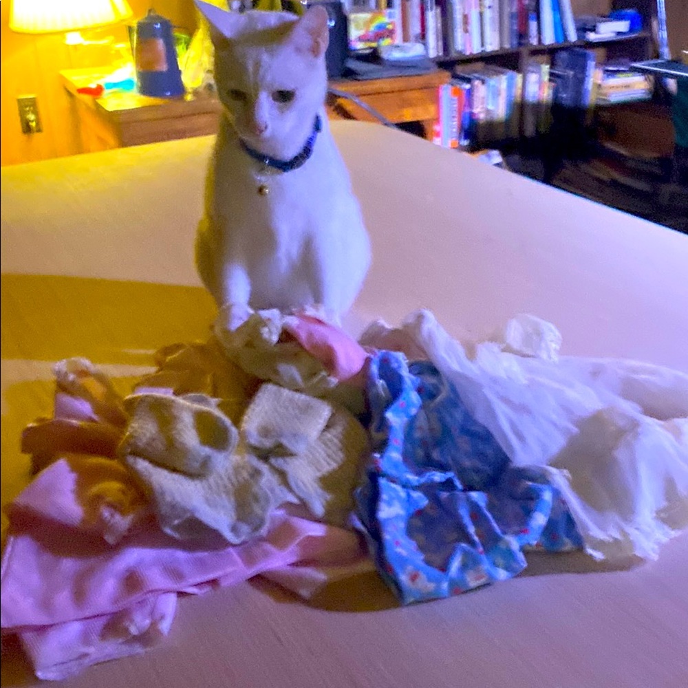 3/$15. Vintage doll clothes assortment - the cat is not for sale!!!!!